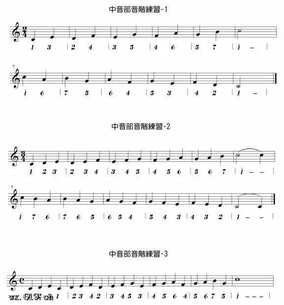 24孔复音口琴学习教程