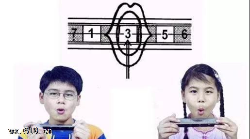 24׿ѧϰ̳